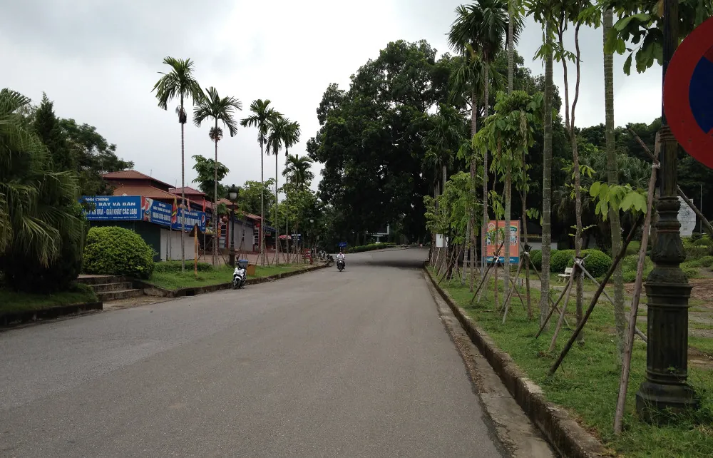 Con đường hai bên là hàng cau